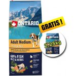 Ontario Adult Medium 7 Fish & Rice 12 kg – Hledejceny.cz
