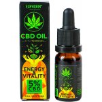 Euphoria Energy & Vitality CBD olej 5% s terpeny 10 ml 500 mg – Zboží Mobilmania