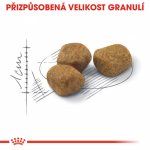 Royal Canin Indoor 7+ 3,5 kg – Hledejceny.cz