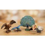 Zoolandia sada ptáci v krabičce – Sleviste.cz