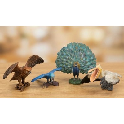 Zoolandia sada ptáci v krabičce – Sleviste.cz