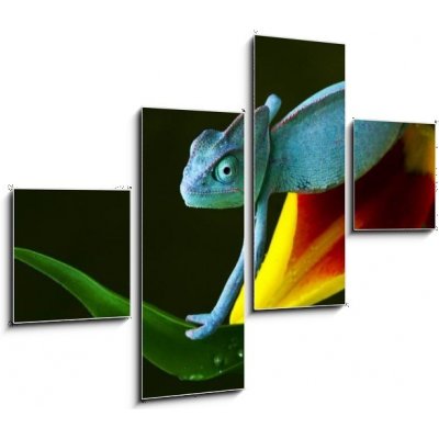 Obraz čtyřdílný 4D - 120 x 90 cm - cham leon chameleon lizard cizokrajná věc – Zboží Mobilmania