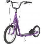 NILS WH-119 fialová – Sleviste.cz