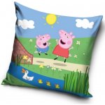 Carbotex polštář Prasátko Pepina u potůčku 40x40 – Zboží Dáma