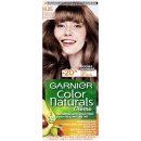 Garnier Color Natural Creme 625 světlá ledová mahagonová