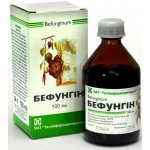 Befungin extrakt z čagy 100 ml – Zboží Mobilmania