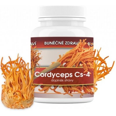 Cordyceps Cs-4 Přírodní 90 kapslí – Hledejceny.cz