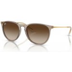 Ray-Ban RB4171 674413 – Hledejceny.cz