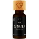 Ancient Wisdom Zázvor bio 100% éterický olej 10 ml – Hledejceny.cz