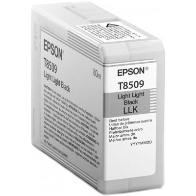 Epson C13T850900 - originální – Zboží Mobilmania