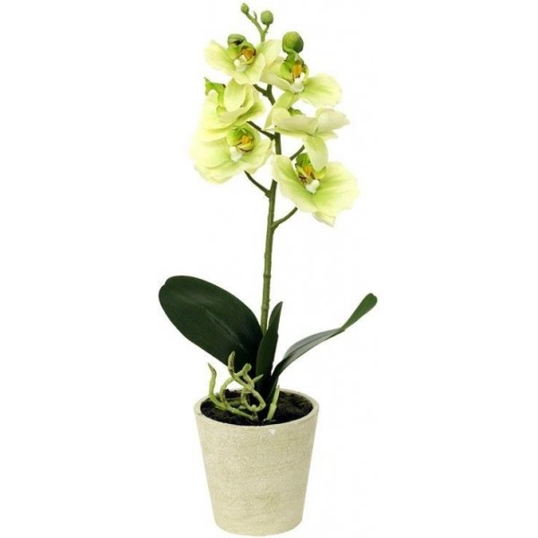 Květina Umělá květina orchidea zelená, 39,5 cm, Autronic
