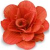 Květina Betal rose na drátku 6cm oranžová
