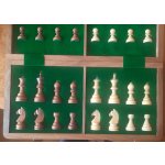 MAGNETICKE SACHY DELUXE 6x12 – Zboží Mobilmania