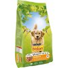 Purina Friskies Adult Dog Balance kuře 15 kg