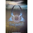 Sacred 2: Fallen Angel 