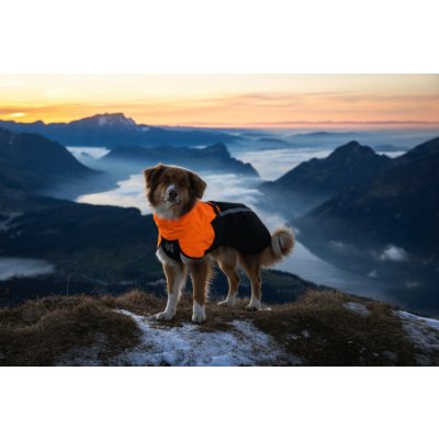 Non-stop dogwear pláštěnka Fjord raincoat 2.0 – Hledejceny.cz