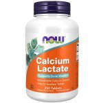 Now Calcium Lactate Vápník laktát vápenatý 250 tablet – Hledejceny.cz