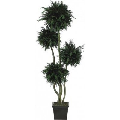 Thuja 4 balls tree