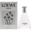 Loewe Agua de Loewe Ella toaletní voda dámská 100 ml