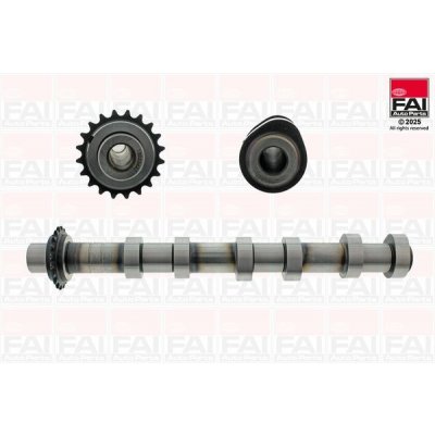 Vačkový hřídel FAI AutoParts C590 – Zboží Mobilmania