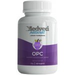 Medveď natural OPC 60 kapslí – Hledejceny.cz