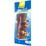 Tetra rostlina Red Foxtail Plus 15 cm – Zboží Dáma