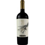 Clos de Luz Massal 1945 Cabernet Sauvignon 2020 Červené 13,5% 0,75 l (holá láhev) – Hledejceny.cz