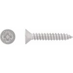 Vrut do plechu se zápustnou hlavou PH2 plný závit ocel A2 4,2 x 13 mm, 12 ks – Hledejceny.cz