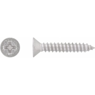 Vrut do plechu se zápustnou hlavou PH2 plný závit ocel A2 4,2 x 13 mm, 12 ks – Hledejceny.cz