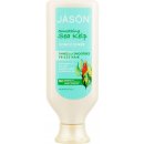 Jason Conditioner vlasový Mořská řasa 454 g