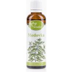 Serafin byliny Meduňka tinktura z bylin 50 ml – Hledejceny.cz