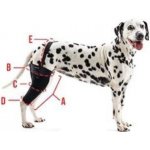 Kruuse Bandáž na koleno pro psa Rehab XS Levá – Zboží Mobilmania