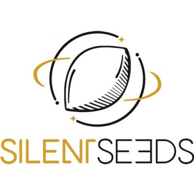 Silent Seeds Starfire OG semena neobsahují THC 3 ks – Hledejceny.cz