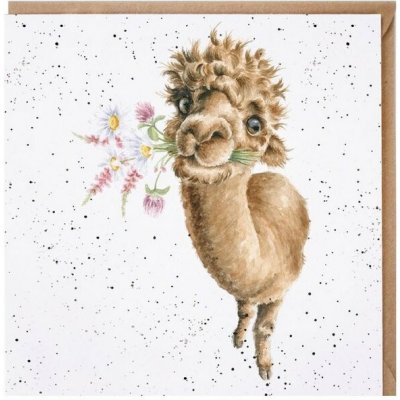 Wrendale Designs Přání Wrendale Designs "Hand-Picked for You ", 15x15 cm - Lama – Hledejceny.cz