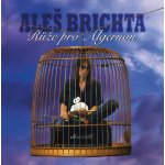 Aleš Brichta - Růže pro Algernon (Remastered 2026) CD – Hledejceny.cz