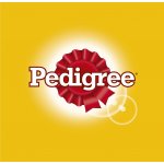 Pedigree Junior v želé 12 x 100 g – Zboží Mobilmania