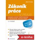 Zákoník práce v praxi: komplexní průvodce s řešením problémů, 2. vydání - Jakub Tomšej