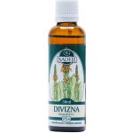 Divizna velkokvětá tinktura z pupenů na dýchací cesty 50 ml – Hledejceny.cz
