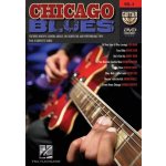 Guitar Play-Along DVD 4 Chicago Blues video škola hry na kytaru – Hledejceny.cz