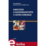 Anestezie a pooperační péče v cévní chirurgii - Petr Štádler, Pavel Michálek, Michael Stern – Hledejceny.cz