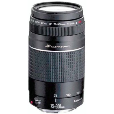 Canon EF 75-300mm f/4 III USM Zoom od 7 550 Kč - Heureka.cz