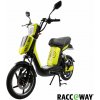 Elektrická motorka Racceway ® E-BABETA®, zelená-metalíza 250 W