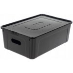 KOZÁČEK Box úložný MULTIBOX KOLOR průhmaty 39 x 26 x 13 cm 11L mix barev – Zboží Dáma