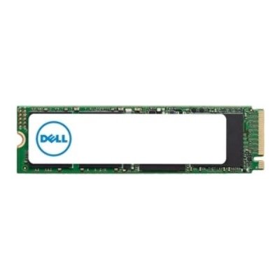Dell SSD 256GB M.2 PCI Express, AA615519
