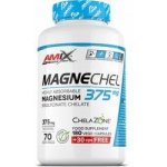 Amix Performance MagneChel Magnesium Chelate 210 kapslí – Hledejceny.cz