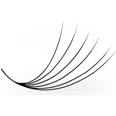 Luxury Lashes 6D Řasy Premium v hotovém vějířku 1 000 Ks Zakřivení umělých řas: D, Délka umělých řas: 11 mm, Tloušťka řas: 007 – Zboží Dáma