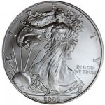 U.S. Mint stříbrná mince American Eagle 2005 1 oz