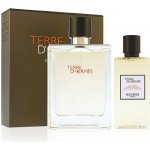 Hermes Terre D Hermes EDT pro muže 100 ml + sprchový gel 80 ml dárková sada – Hledejceny.cz