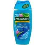PALMOLIVE Thermal Spa Mineral Massage dámský sprchový gel s aloe a minerální solí 250 ml – Hledejceny.cz