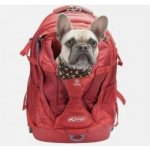 Kurgo Batoh pro psa G-Train K9 33 x 53,5 x 25,5 cm – Zboží Dáma